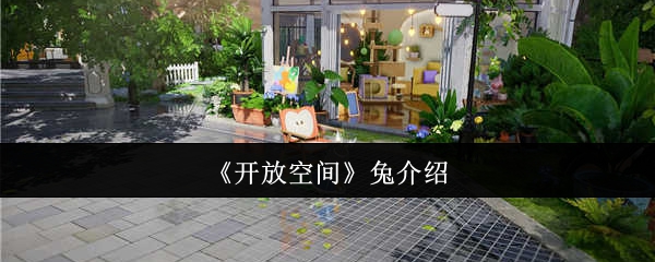 《开放空间》兔介绍