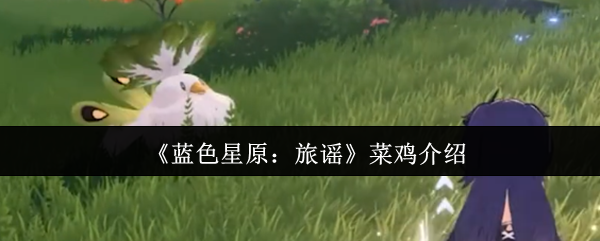 蓝星原谣菜鸡怎么样 真的能吸引每个人吗
