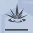 《尘白禁区》妮塔悸响技能介绍