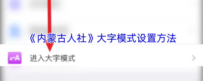如何将内蒙古人社设置为大字模式?