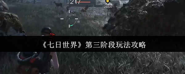 七天世界第三阶段怎么玩