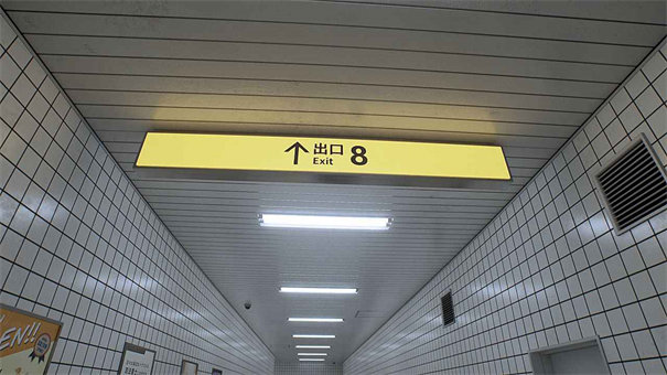 8倍出口正版手机游戏在线